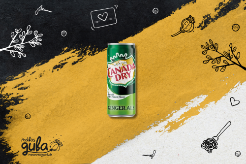 Canada dry 0,33l